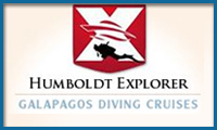 Diving Galapagos Humboldt explorer